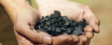 Two hands hold a small pile of biochar