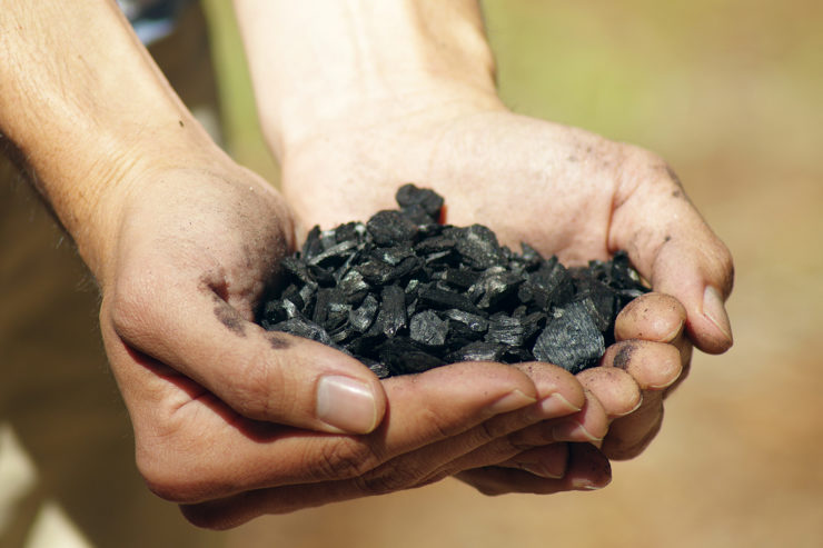 Two hands hold a small pile of biochar