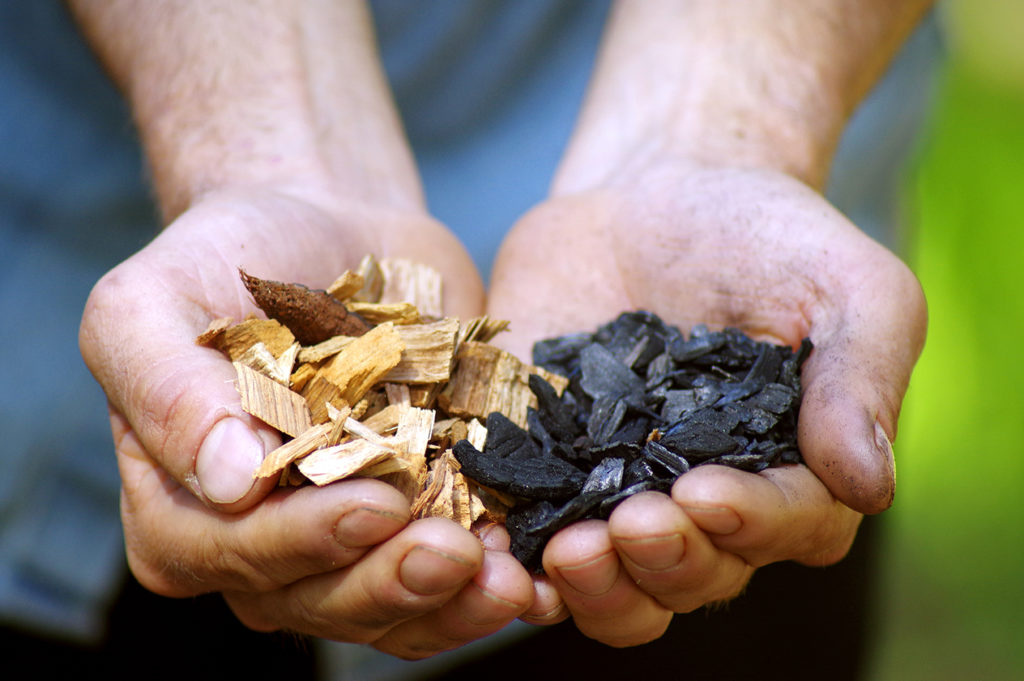 Two cupped hands hold wood chips before and after biochar conversion.