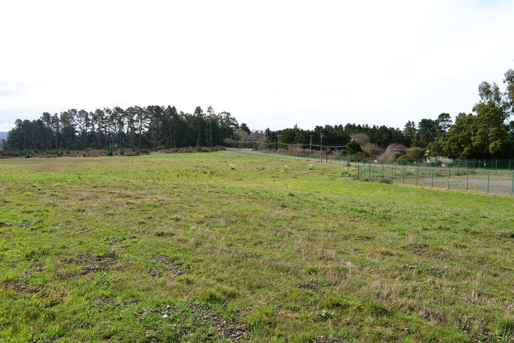 A short-mowed grassy area is shown with an edging of fence to the right and trees in the distance.