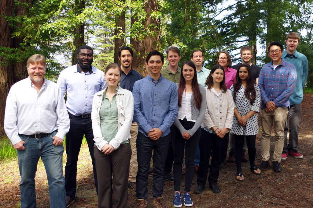 14 smiling people stand together in a redwood grove with sunlight filtering through