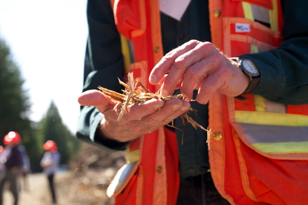 A person in an orange vest holds a handful of logging remains