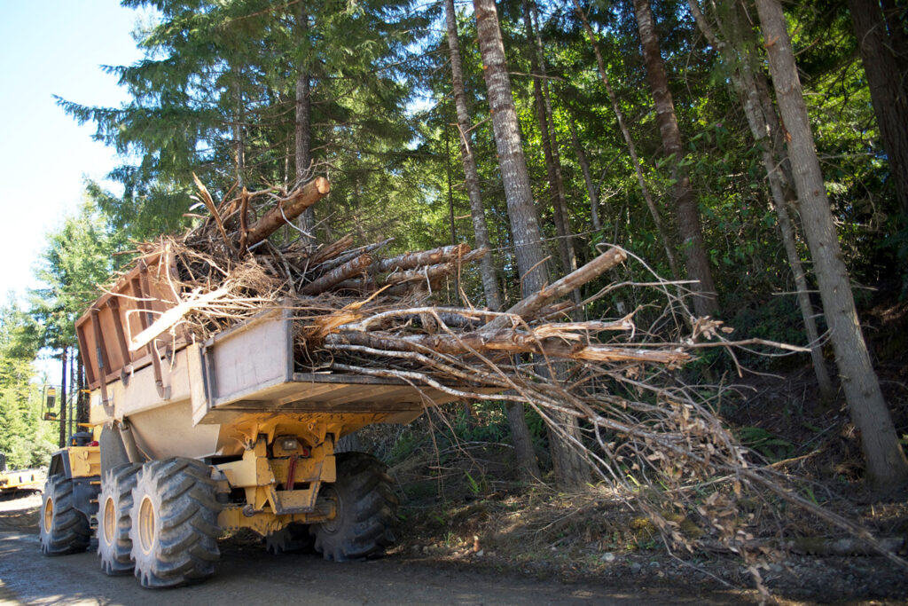 A pile of tree limbs in a truck