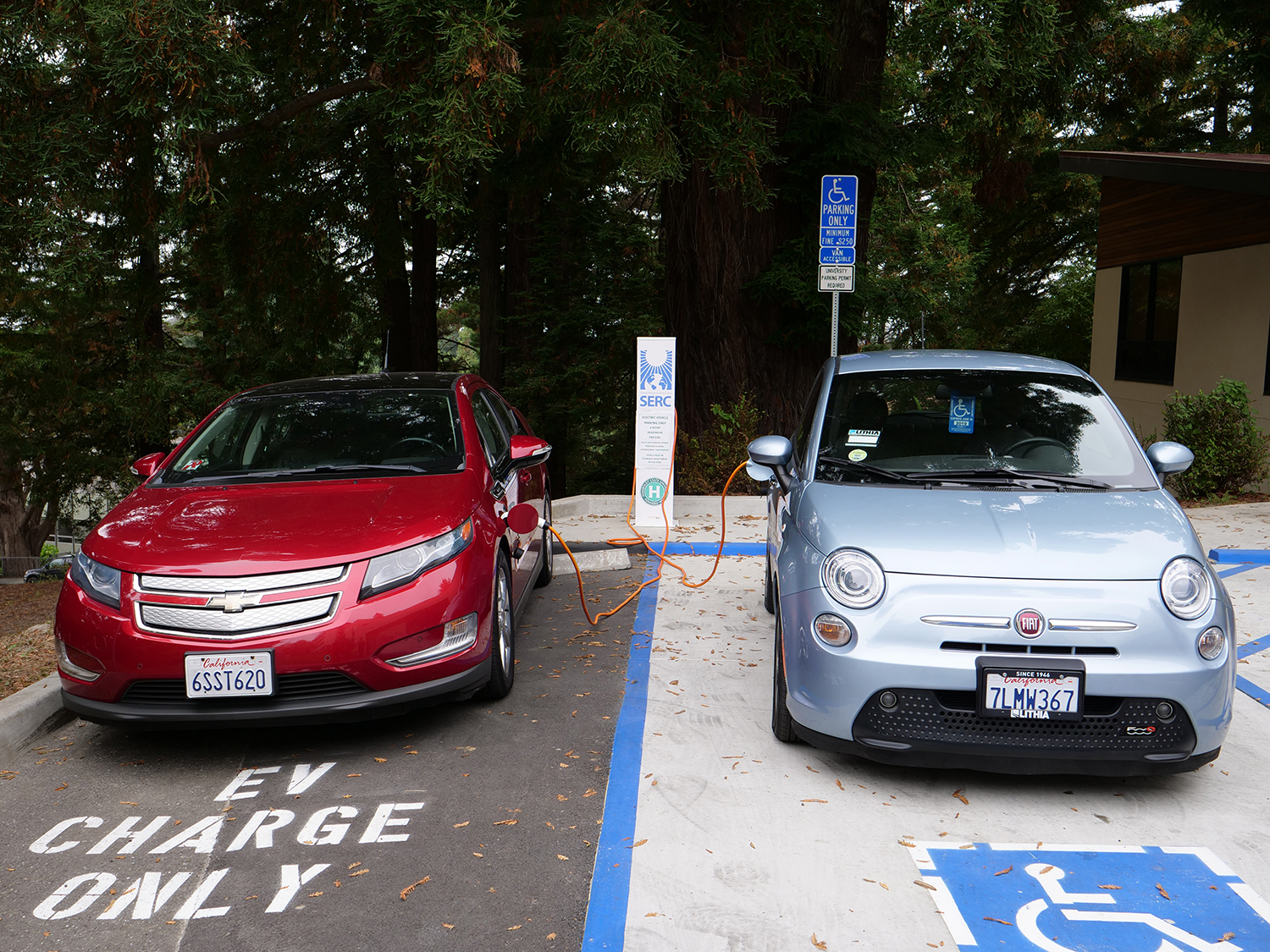 Two cars, with the fuel lines crossing over each other, charge beneath redwoods