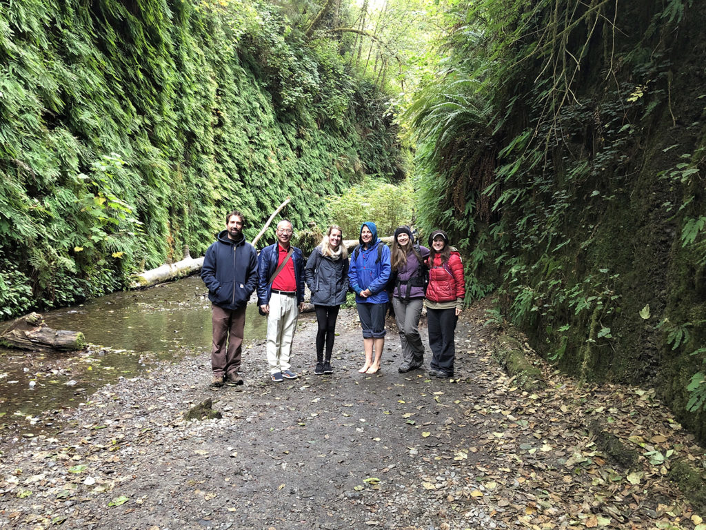 Six people stand in a narrow, wet canyon with fern-covered walls.