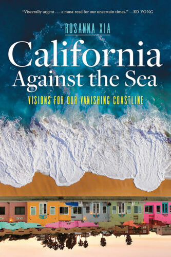 Book cover shows the ocean approaching a California village